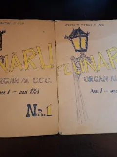 Revista Felinaru (revista de cultura si umor) - Anul I Iulie 1958 + August 1958 (nr.1+2)