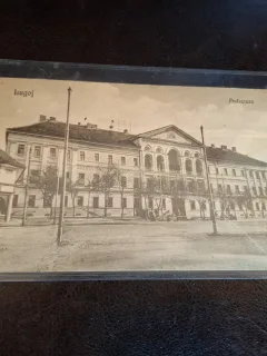 Carte postala , alb negru , prefectura Lugoj - (necirculata)