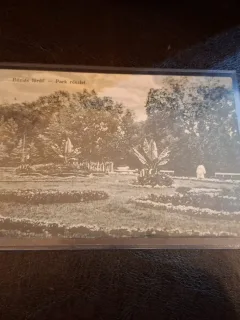Carte postala , Buzias parc , alb negru - (circulata)