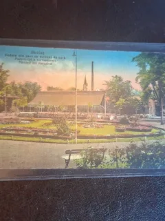 Carte postala ilustrata , Buzias , Vedere din parc cu salonul de cura - Circulata