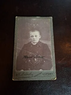 Fotografie tip CDV , Portret adolescent , alb negru , Lupeny - R.Felinek