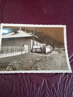 Fotografie veche , alb negru , Casa la munte - format mic