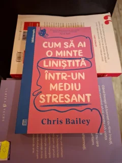 Cum să ai o minte liniștită într-un mediu stresant - Chris Bailey