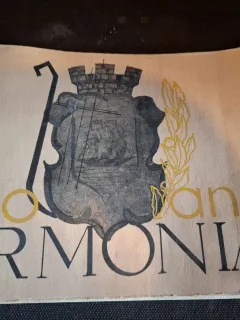 100 ani Armonia - N.Teodorescu