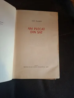 Am plecat din sat - Ion Vlasiu