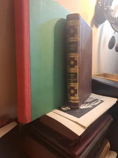 Iasii de Odinioara (vol.I+II) - Rudolf Sutu