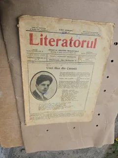 Literatorul - nr 25, 17 februarie 1919