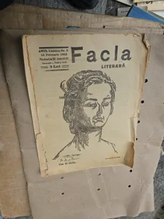 Facla literară - nr 3, 15 februarie 123
