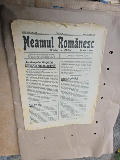 Neamul Românesc - nr 106, 14 iunie 1926