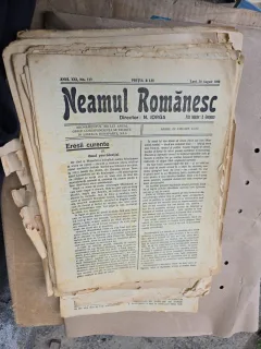 Neamul Românesc - nr 117, 30 august 1926
