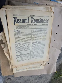 Neamul Românesc - nr 110, 12 iulie 1926