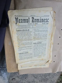 Neamul Românesc - nr 103, 24 martie 1926