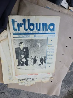 Tribuna - nr 1, 20 ianuarie 1935