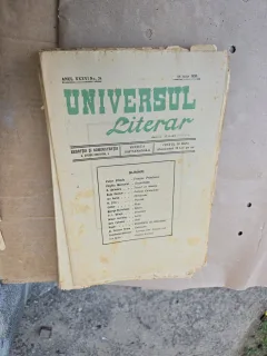 Universul Literar - nr 24, 25 iulie 1920