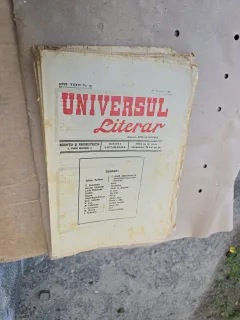 Universul literar - nr 28, 27 august 1920