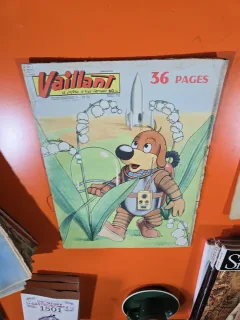 Vaillant nr.671 an 14