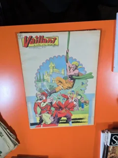 Vaillant nr.667 an 13