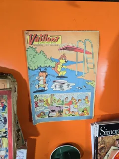 Vaillant nr.748 an 15