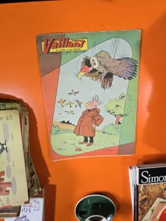 Vaillant nr.719 an 15