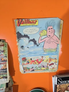 Vaillant nr.750 an 15