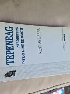 Ţepeneag - Introducere într-o lume de hârtie - Nicolae Bărna