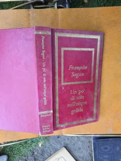 Un po di sole nell acqua gelida - Françoise Sagan