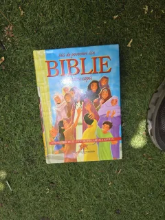 365 de povestiri din BIBLIE pentru copii