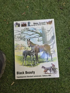 Black Beauty - Anna Sewell