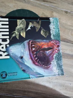 Rechini - Beverly McMillan, John A. Musick