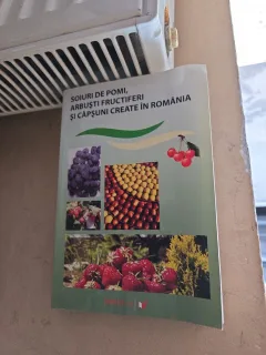 Soiuri de pomi, arbuşti fructiferi şi căpşuni create în România