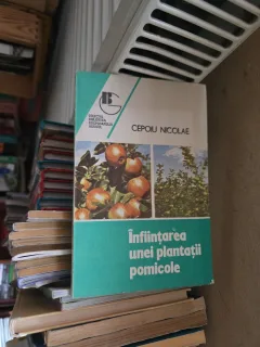 Înființarea unei plantații pomicole - Cepoiu Nicolae