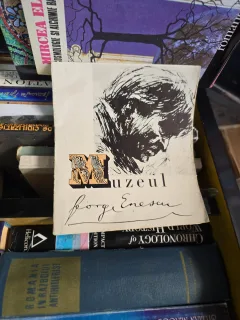 Muzeul  George Enescu