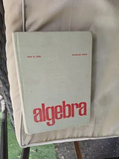 Algebra - Ion D. Ion, Nicolae Radu