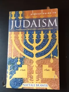 A BRIEF GUIDE TO JUDAISM, THEOLOGY, HISTORY AND PRACTICE - NAFTALI BRAWER  (CARTE IN LIMBA ENGLEZA)