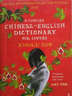 A Concise Chinese. English Dictionary for Lovers - Xiaolu Guo