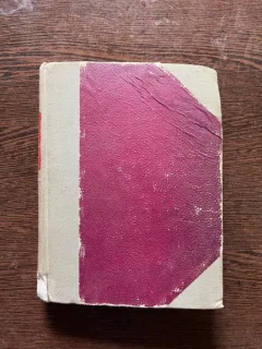 A. G. Vaida - Aviva. Fiica ghetoului