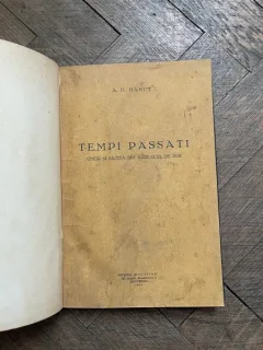A. P. BANUT - TEMPI PASSATI. UMOR SI SATIRA DIN ARDEALUL DE IERI (1931)