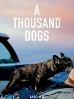 A THOUSAND DOGS - RAYMOND MERRITT  (CARTE IN LIMBA ENGLEZA)
