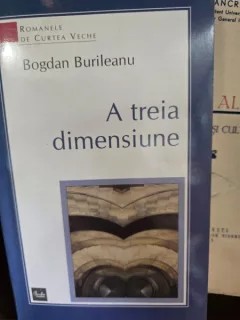 A treia dimensiune - Bogdan Burileanu