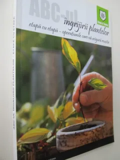 ABC-ul ingrijirii plantelor etapa cu etapa