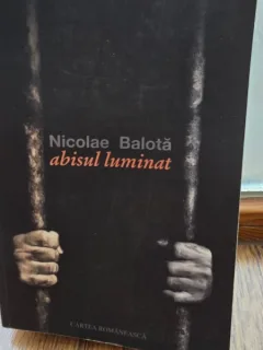 Abisul luminat - Nicolae Balota