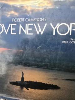 Above New York - Paul Goldberger, Robert Cameron