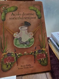 Acolo doarme soricelul vrajitor - Benno Pludra