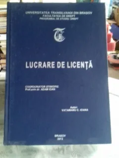 ACTIUNEA IN REVENDICARE/LUCRARE DE LIENTA - VATAMANU C. IOANA