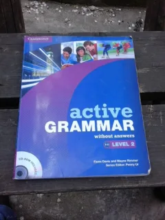 ACTIVE GRAMMAR, LEVEL 2, WITHOUT ANSWERS - FIONA DAVIS  NU CONTINE CD
