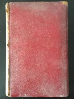 Adam Mickiewicz - Pan Tadeusz