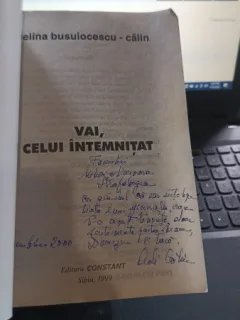 Adelina Busuiocescu-Calin - Vai, celui intemnitat. Memorii din inchisoare