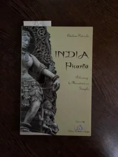 Adelina Patrichi - India picanta: pelerinaj la mirodenii si temple