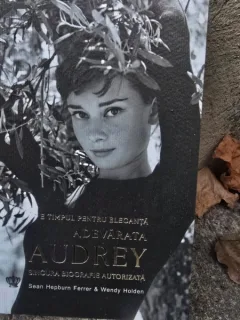 Adevărata Audrey. E timpul pentru eleganță - Sean Hepburn