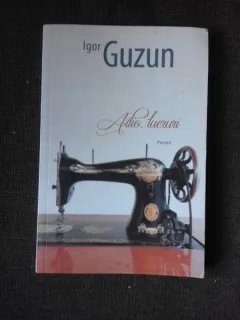 Adio, lucruri - Igor Guzun